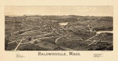 Balwinville 1886 Bird
